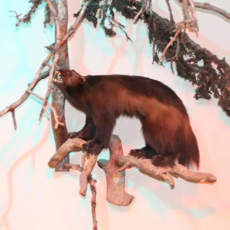 Hotel Kemijaervi Ξενοδοχείο